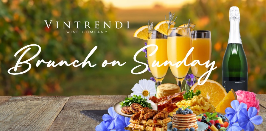 Vintrendi Brunch-2-Website Event Banner Template (2)